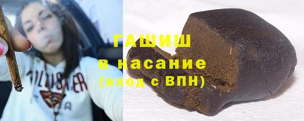 сатива Новодвинск