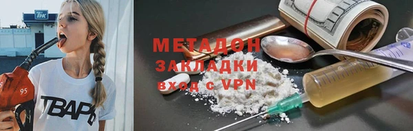 сатива Новодвинск
