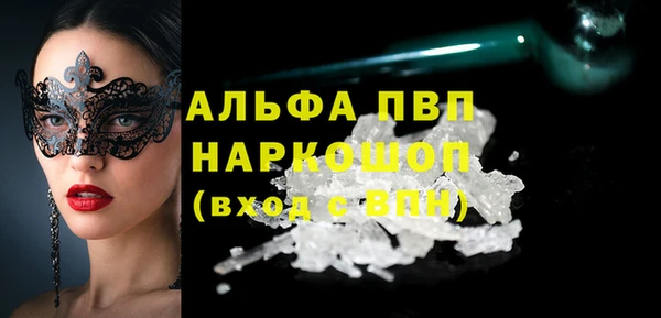 сатива Новодвинск