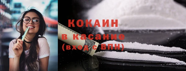 сатива Новодвинск