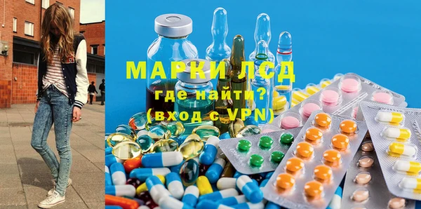 сатива Новодвинск