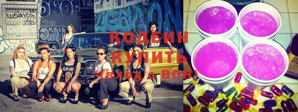 сатива Новодвинск