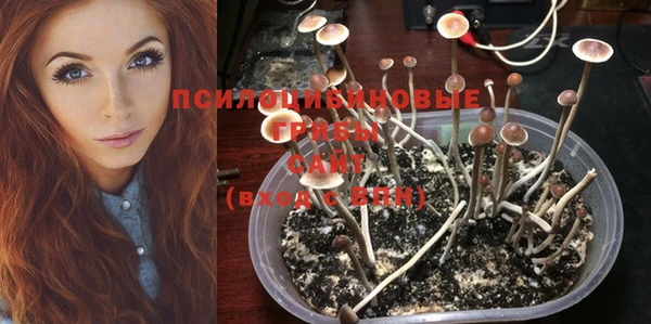 винт Новокубанск