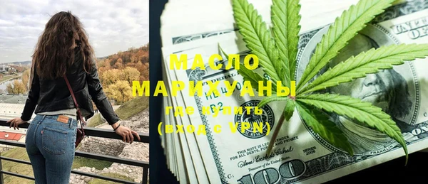 сатива Новодвинск
