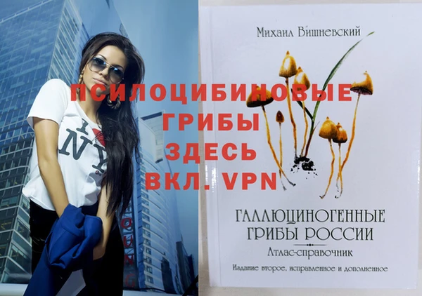 гашиш Новозыбков