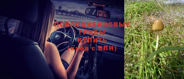 винт Новокубанск