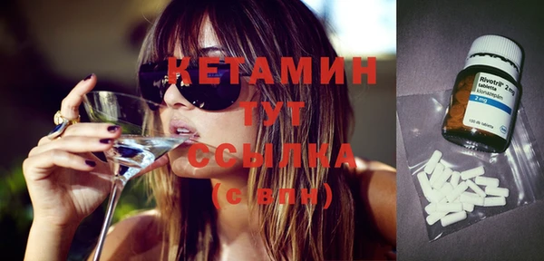 сатива Новодвинск