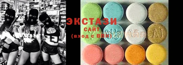сатива Новодвинск