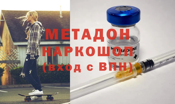 сатива Новодвинск