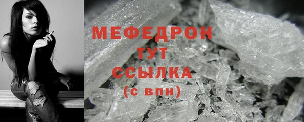 сатива Новодвинск