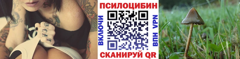 Псилоцибиновые грибы Cubensis Зерноград