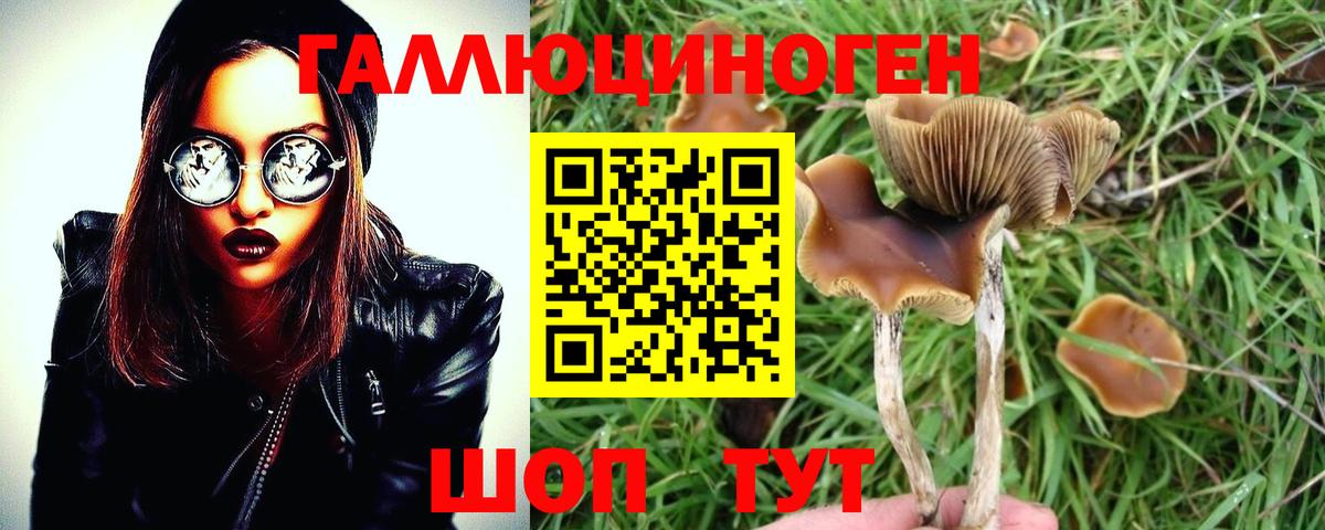 Галлюциногенные грибы GOLDEN TEACHER Зерноград