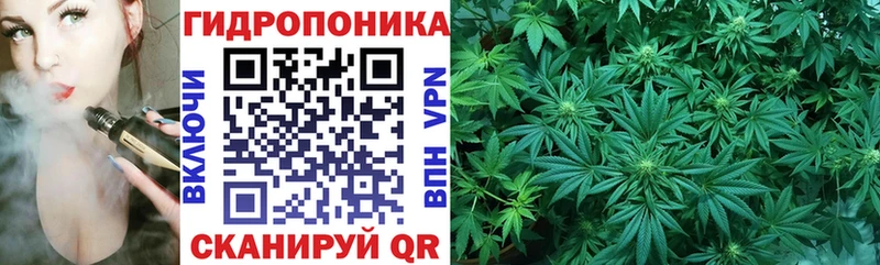 Марихуана SATIVA & INDICA  МЕГА онион  Зерноград  закладка 